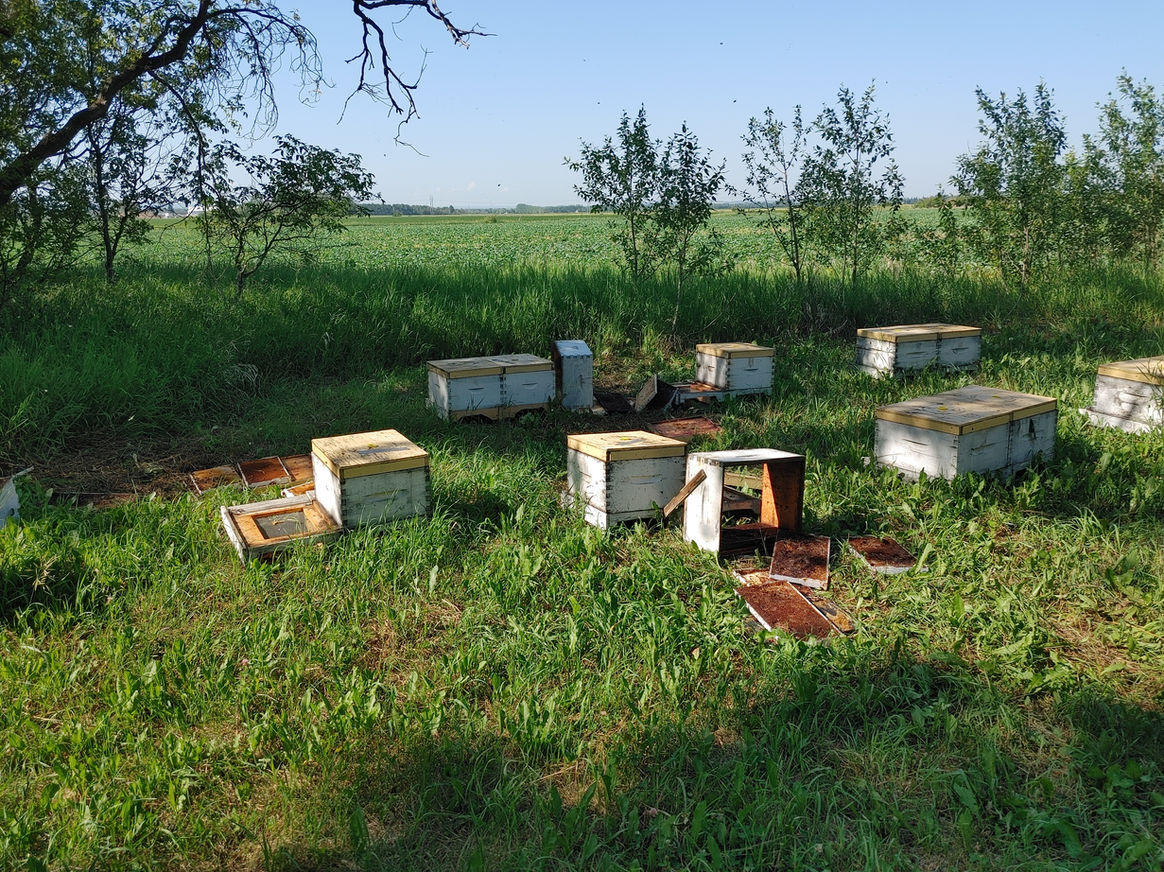 2021 Season photo 53